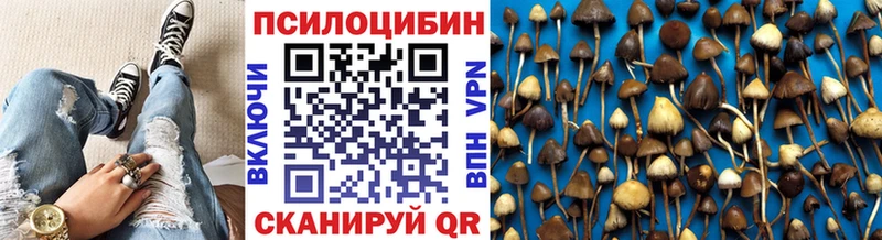 MEGA как войти  Светлый  Псилоцибиновые грибы GOLDEN TEACHER 